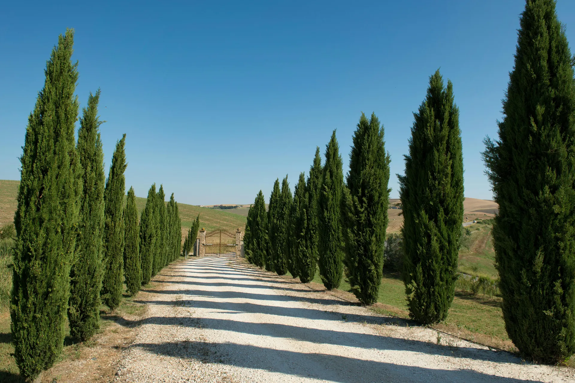Weekend tra vigneti italiani e colline dorate
