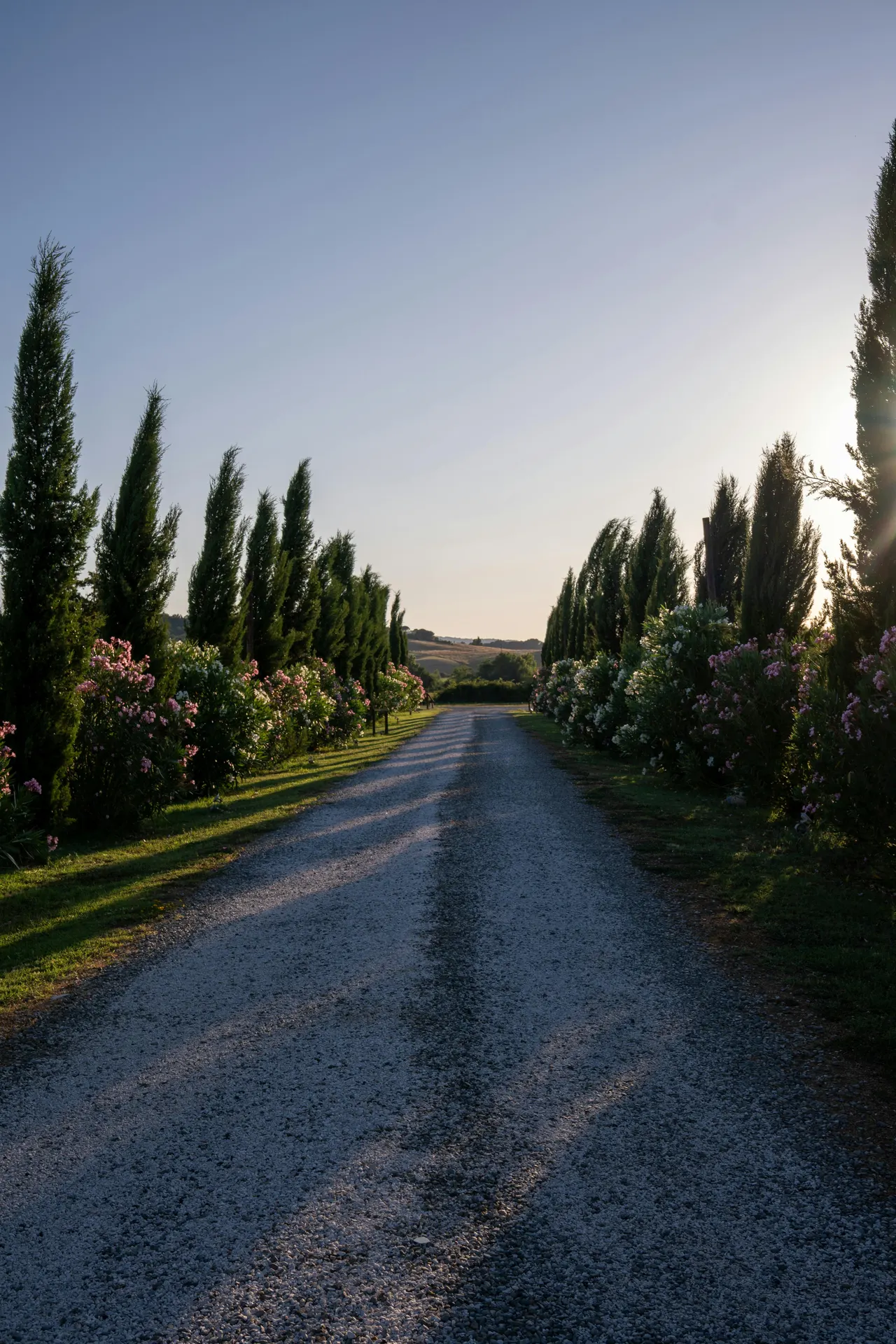 Strada bianca tra vigneti e cipressi italiani