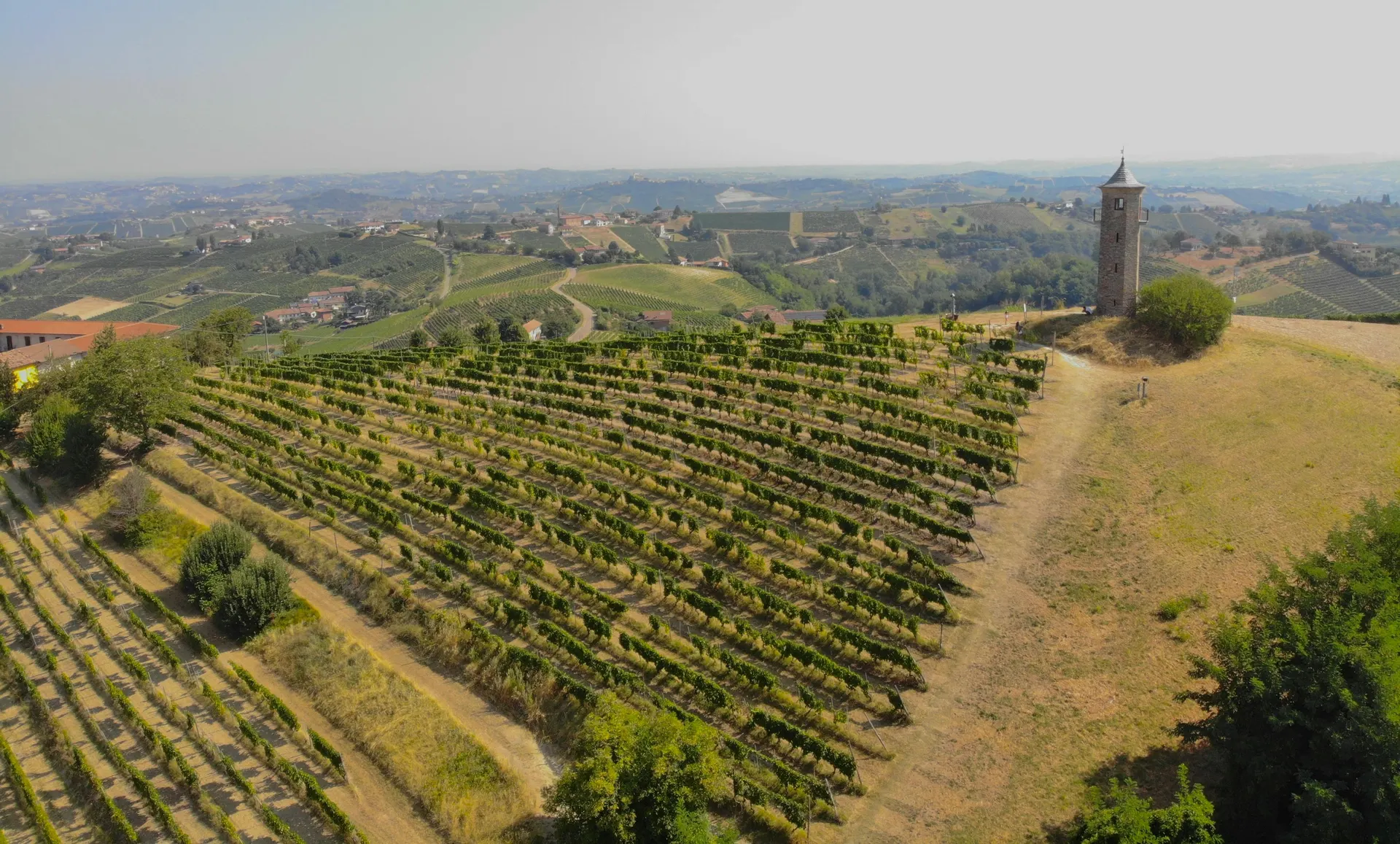 Paesaggio di vigneti italiani al tramonto