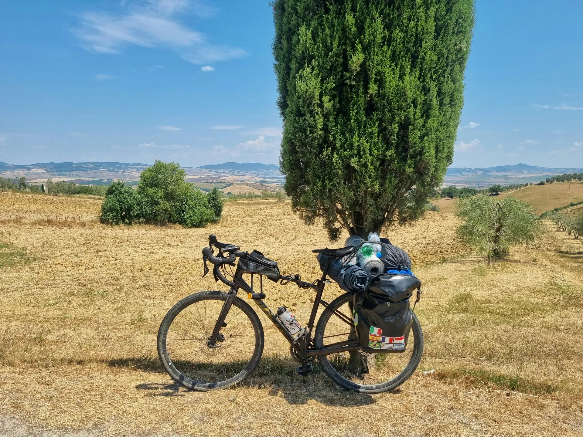 Strada collinare italiana tra ulivi e filari